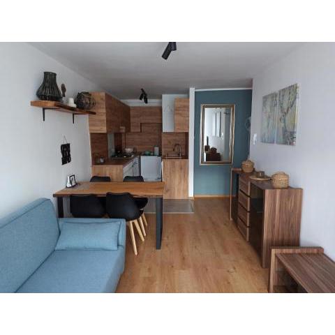 Uroczy apartament nad morzem Gdańsk