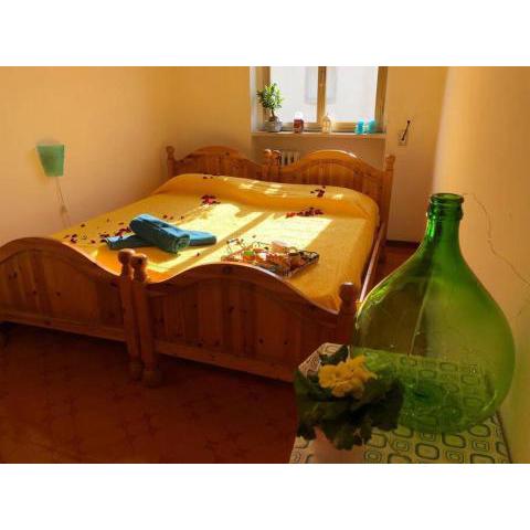 Vacation Apulia Properties - Magnolia apartment