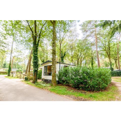 Veluwe Chalet aan het bos - Kids - Pool - Dog