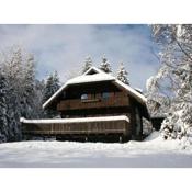 Very spacious detached holiday home in Carinthia near skiing areas and lakes