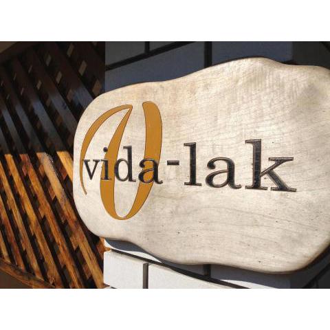 Vida-lak