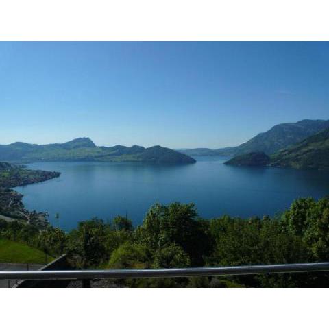 Vierwaldstättersee Panorama