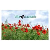 Villa Laubach