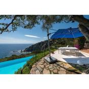 Villa Mistral - Your Dream Holiday