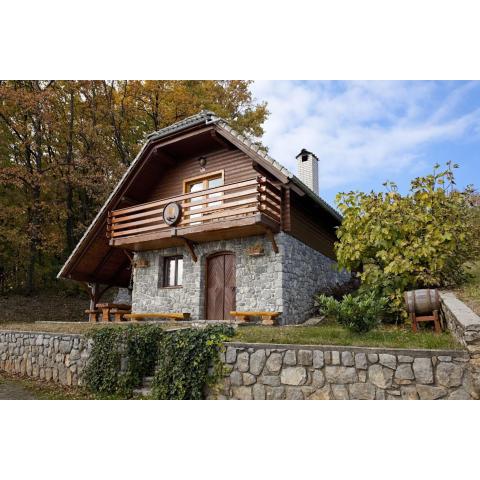 Vineyard Cottage Rataj 1 Hot Tub - Happy Rentals