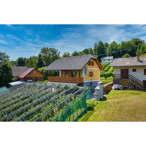 Vineyard Cottage Stepan - Happy Rentals