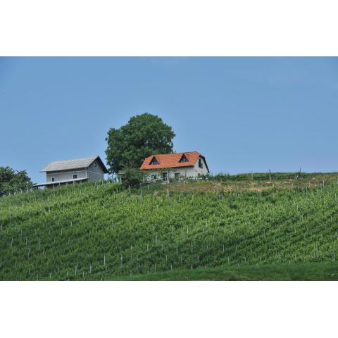 Vineyard Cottage Zdolsek