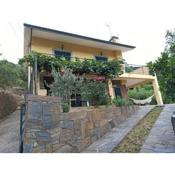 Vineyards Valley House