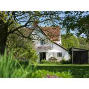 Water Meadow Cottage