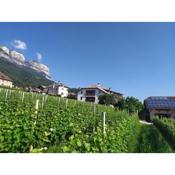 Weingut Lahn zu Eppan