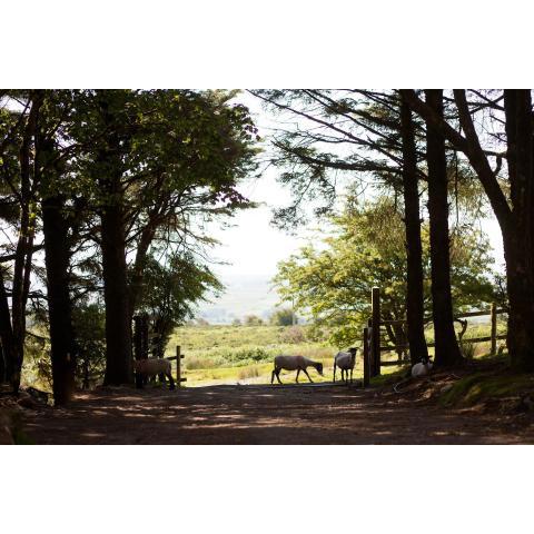 Wheal Tor Hotel & Glamping