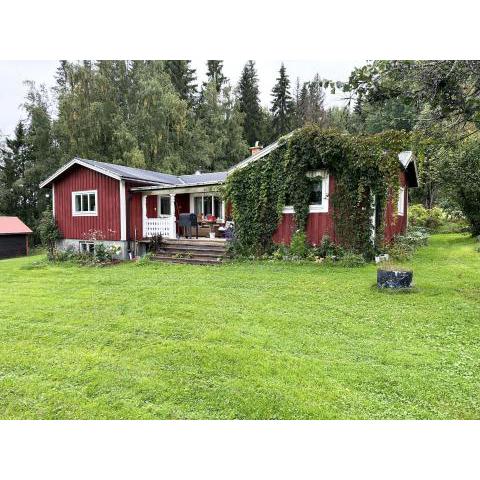 Wilderness cabin in Nas near the Vasterdal River