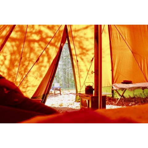 Wildlife camp In a Nordic tipi