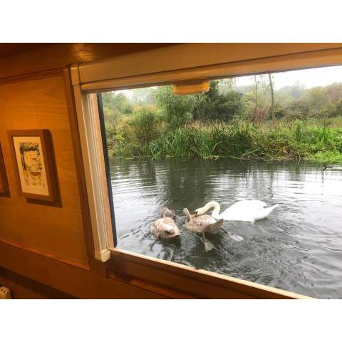 Willow - Cottage on the River, Luxury Houseboat