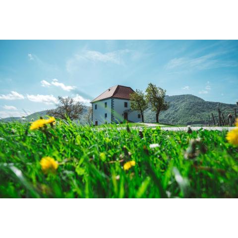 Wine Grower's Mansion Zlati Gric