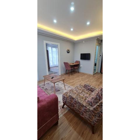 zeynep alya apartman