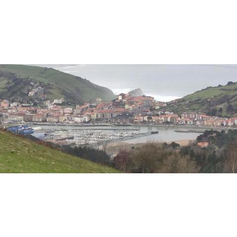 Zumaia Basque Alai